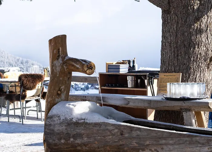 Alpenblick Bergrestaurant & Hotell